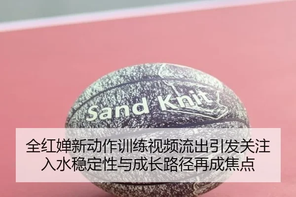 全红婵新动作训练视频流出引发关注 入水稳定性与成长路径再成焦点